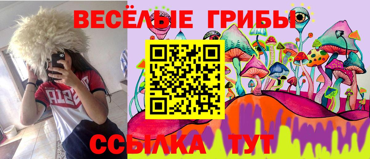 Галлюциногенные грибы GOLDEN TEACHER  Вход с VPN  Галлюциногенные грибы Cubensis  Кинешма 